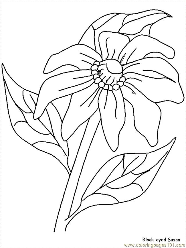 650x866 Best Coloring Pages Images On Coloring Book
