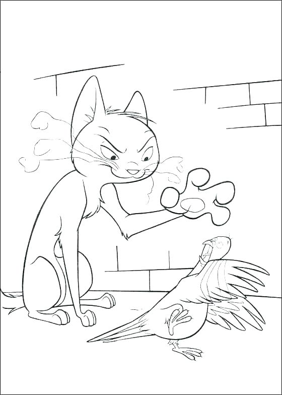 560x784 Ferret Coloring Pages Download The Ferret Coloring Page Here Baby