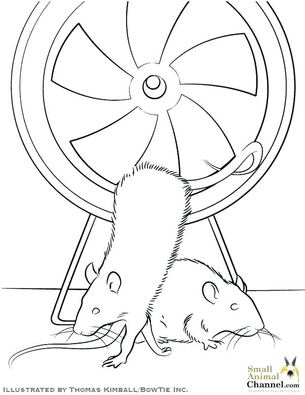 600x776 Ferret Coloring Pages