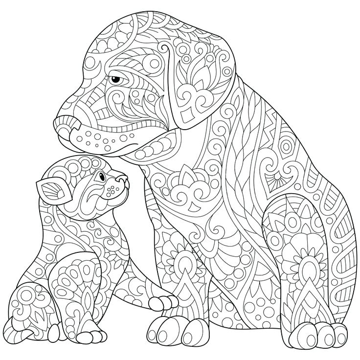 736x736 Labrador Retriever Coloring Pages Coloring Pages Collection Black