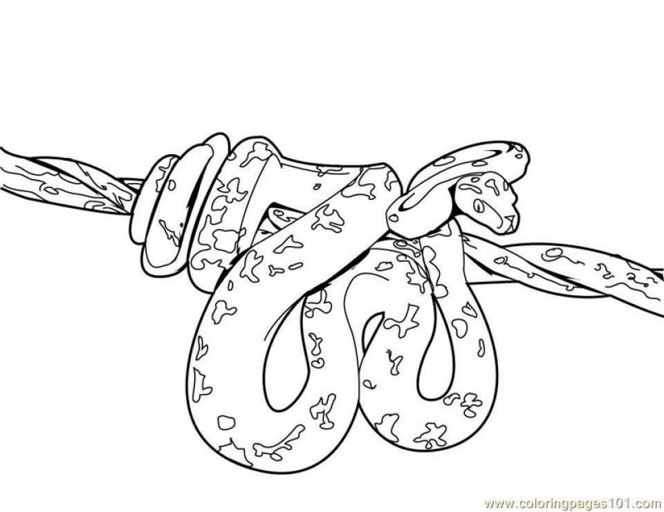 Black Mamba Coloring Pages