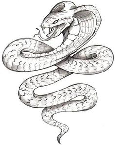 236x298 Black Mamba Snake Drawing