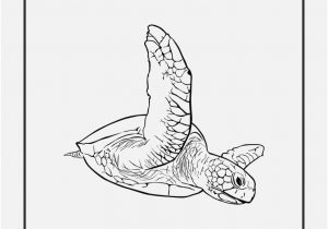 300x210 Green Coloring Pages Pics Eastern Green Mamba Coloring Page