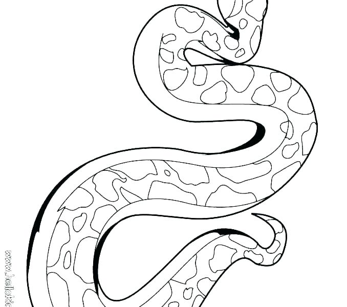 678x600 Ball Python Coloring Pages Grandmaman Site