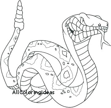 360x350 Black Mamba Coloring Pages Anaconda Coloring Pages Anaconda