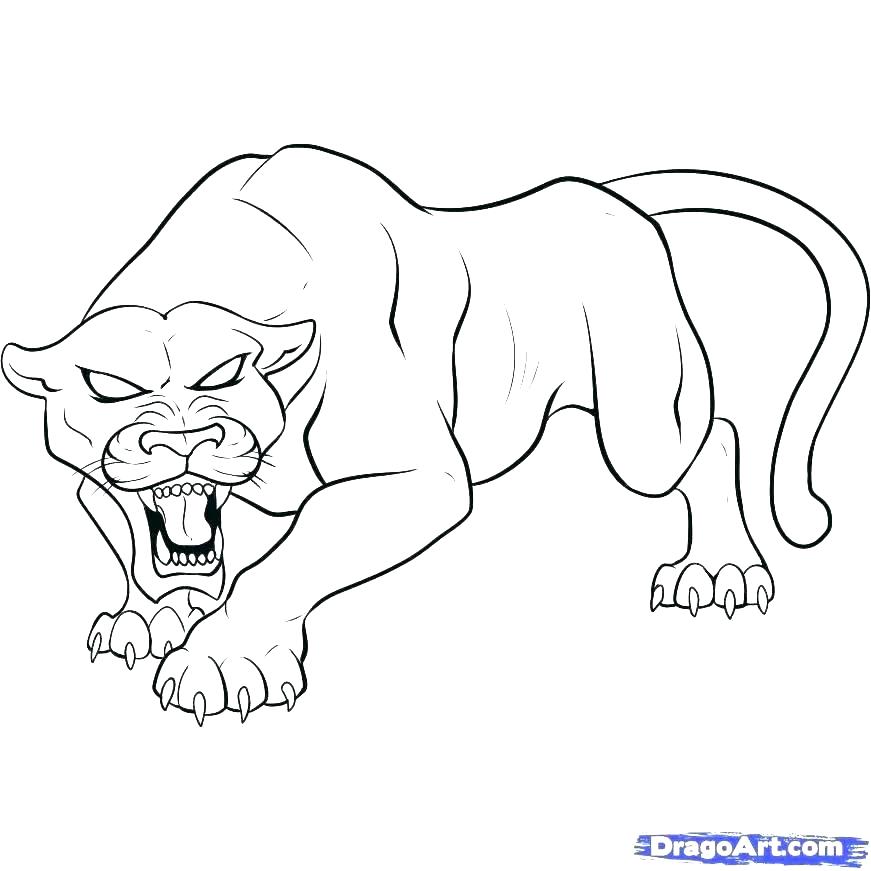871x871 Black Coloring Pages Pink Panther Coloring Pages Panther Coloring