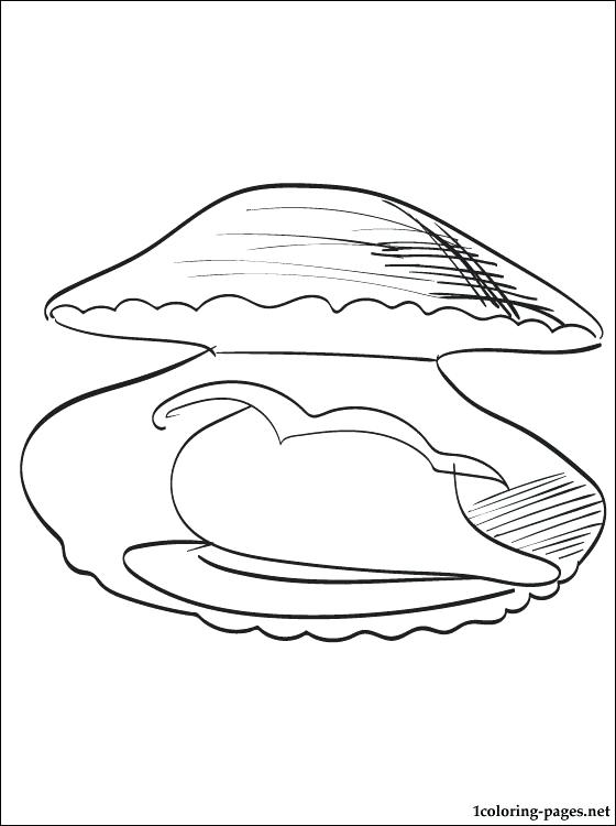 560x750 Clam Coloring Pages For Toddlers Clam Coloring Page Clam