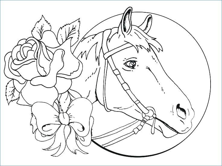 736x551 Beautiful Horse Coloring Page