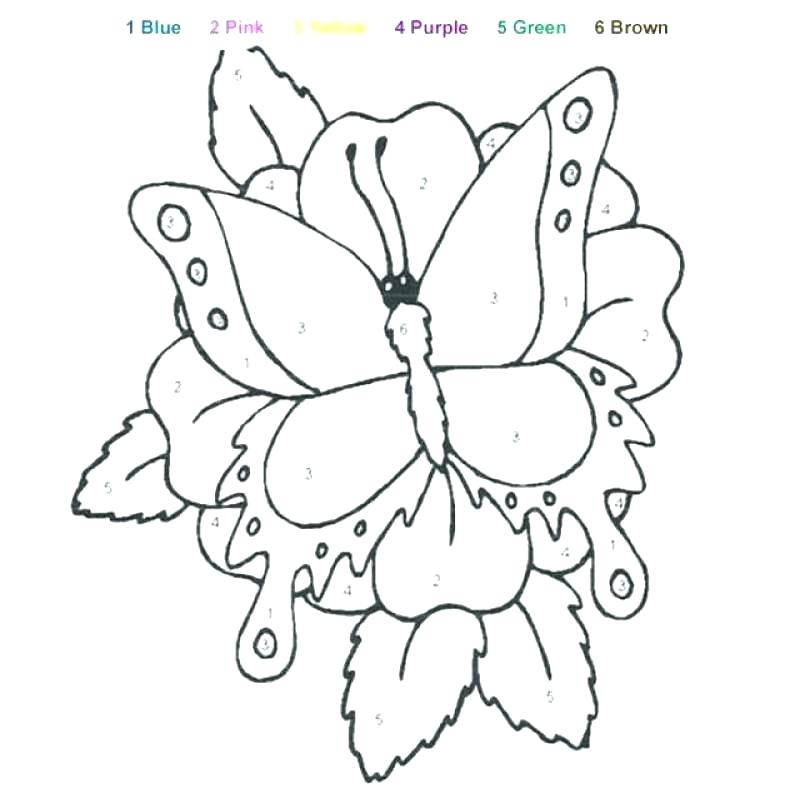 800x798 Color The Butterfly Coloring Page Twisty Noodle Blank Butterfly