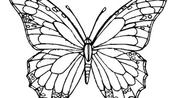 585x329 Unlimited Blank Butterfly Template Outline Printable Pictures Free