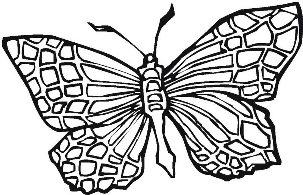 1048x676 Pattern Butterfly Coloring Pages Square Coloring Pages