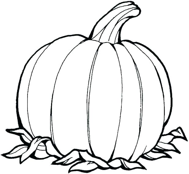 618x568 Pumpkin Color Sheet Fine Pumpkin Color Page Free Coloring Pages