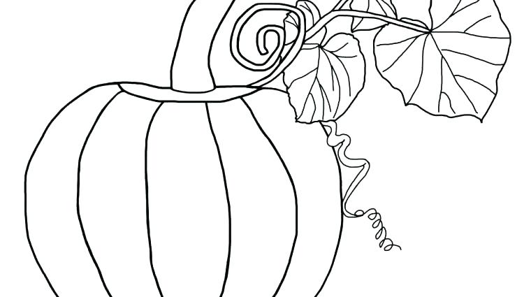 750x425 Pumpkin Coloring Page Blank Pumpkin Coloring Page Free Printable