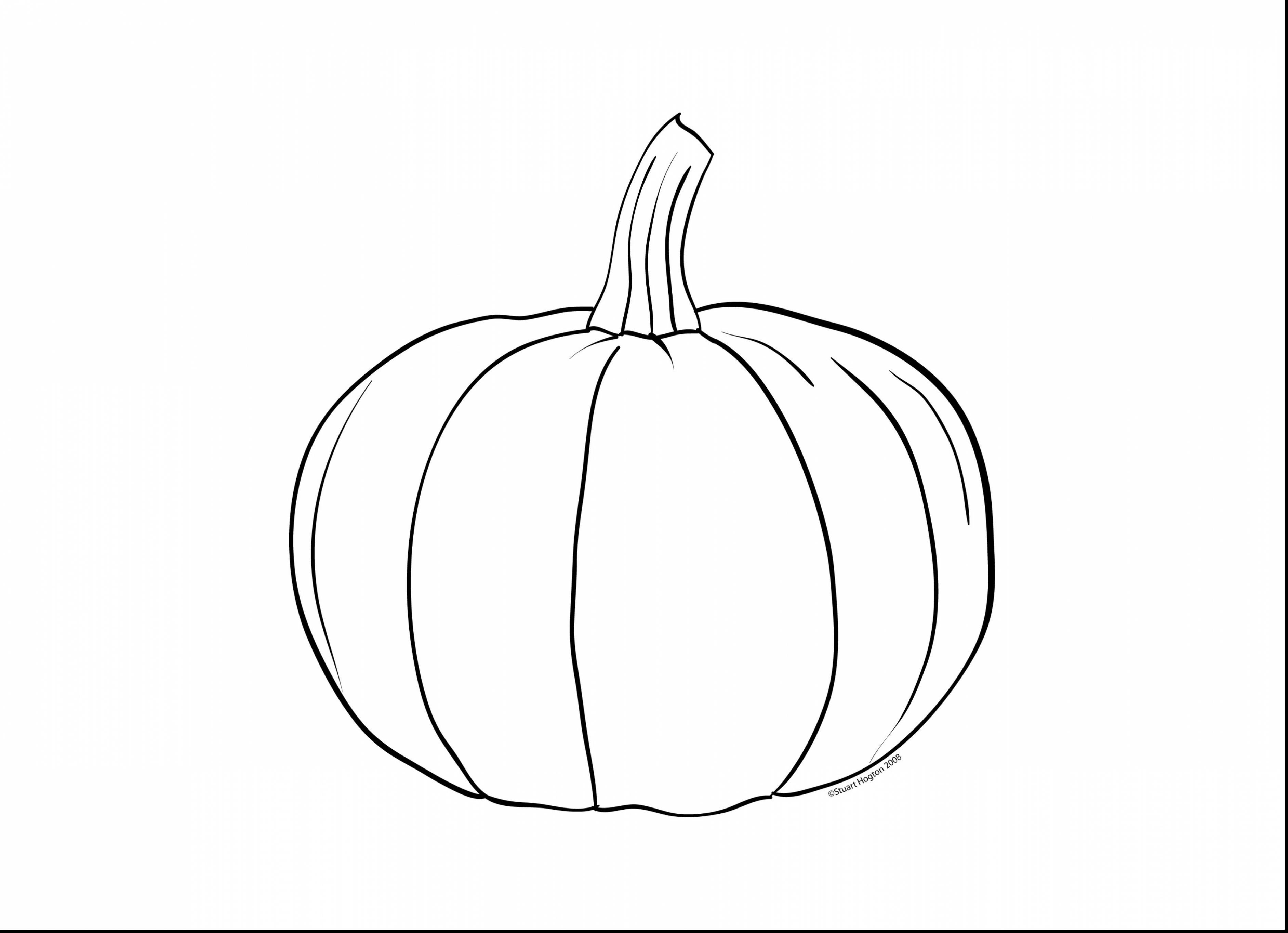 3767x2728 Unbelievable Blank Pumpkin Coloring Pages With Halloween Amazing
