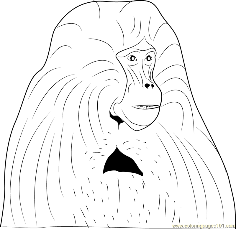 800x777 Bleeding Heart Baboon Coloring Page