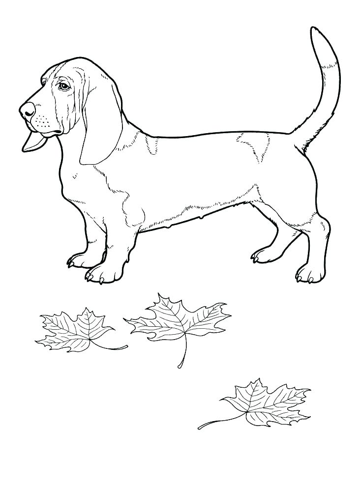 736x989 Bloodhound Coloring Pages Coloring Pages Online Disney