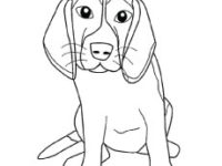 200x150 Bloodhound Coloring Pages Coloring Pages