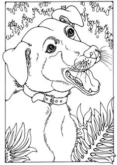 236x333 Bloodhound Adult Coloring Pages