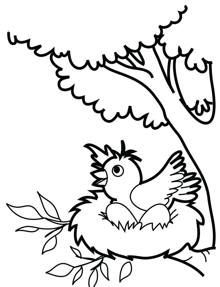 757x985 Bird Coloring Pages Birds Coloring Pages Bird Coloring Pages
