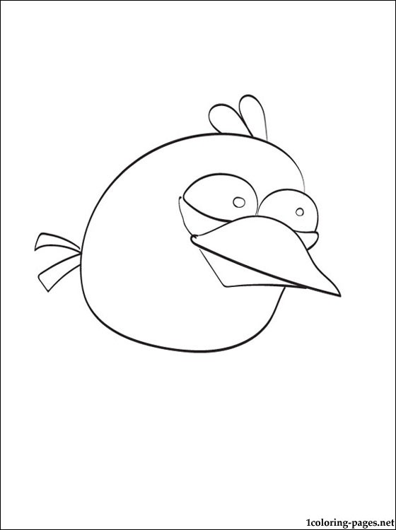 560x750 Coloring Page Angry Birds Blue Bird Coloring Pages