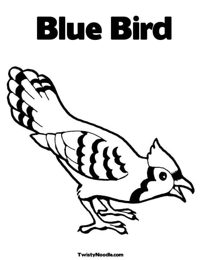 685x886 Printable Pictures Of Birds Bluebird Coloring Page Printable