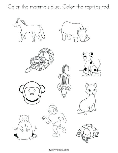 468x605 Reptiles Coloring Pages Coloring Pages Of Reptiles Color