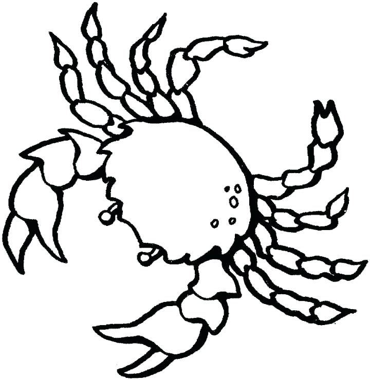 720x740 Crab Coloring Pages Click To See Printable Version Of Blue Crab