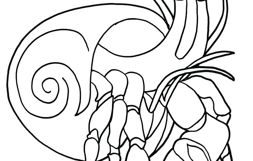 850x544 Hermit Crab Coloring Pages The Hermit Crab Coloring Page To Print
