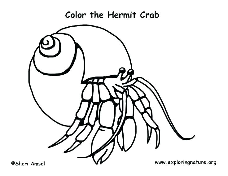 736x568 Crab Coloring Pages