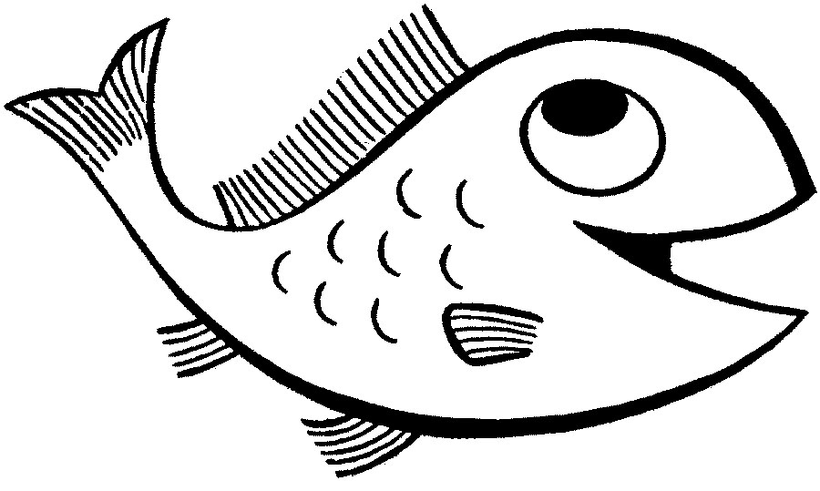 900x539 Red Drum Fish Coloring Pages Two Blue