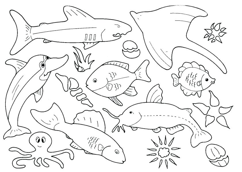 842x598 Top Free Printable Fish Coloring Pages Are Fun Creation But Top