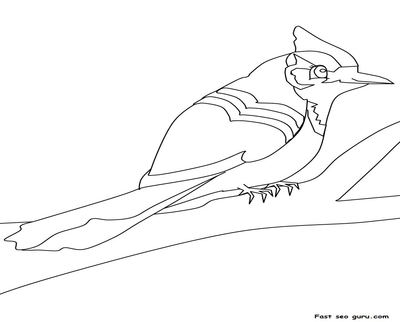 400x322 Blue Jay Coloring Pages Printable Page Image Clipart Images