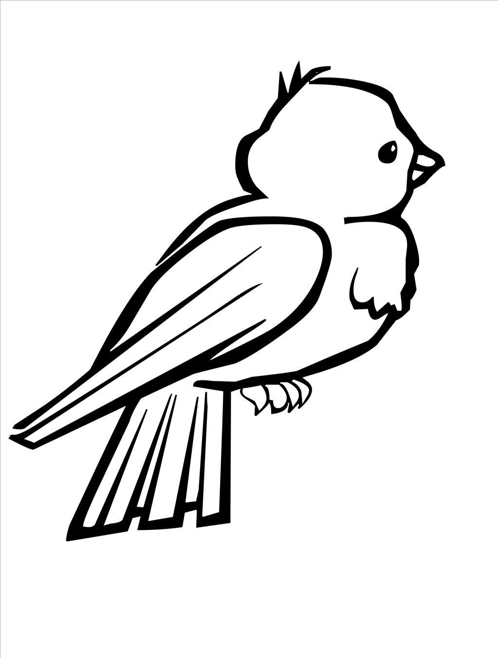 1023x1351 Outline Pictures Of Birds For Colouring Blue Jay Bird Coloring