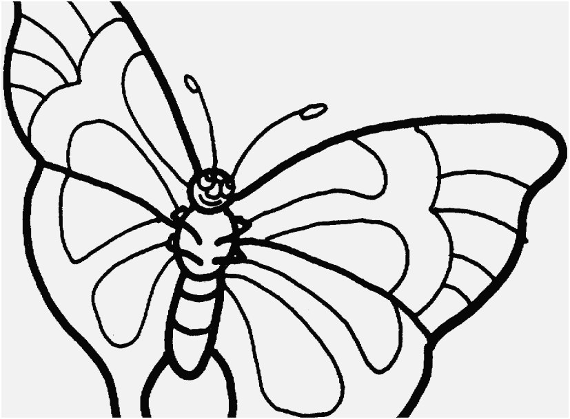 827x609 Butterfly Coloring Sheet Design Free Printable Butterfly Coloring