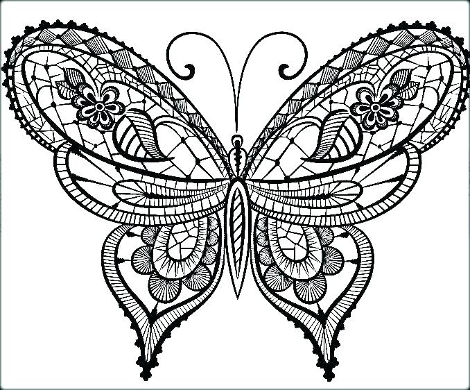 678x562 Coloring Page Of Butterfly Common Butterfly Coloring Page Blue