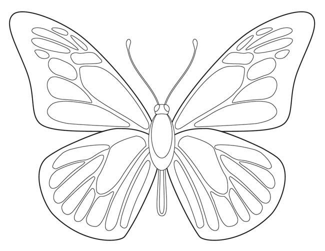 650x502 Free Butterfly Printable Butterfly, Butterfly Drawing