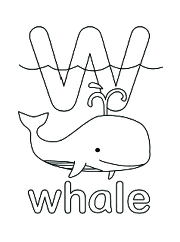 600x807 Coloring Pages Of Whales Whale Coloring Page Blue Whale Coloring