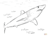 200x150 Mako Shark Coloring Page Beautiful Blue Shark Coloring Page Free