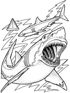 236x314 Blue Shark With Pilot Fishes Coloring Page From Blue Sharks