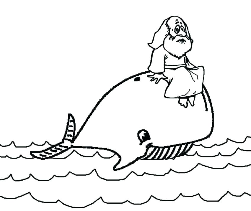 850x716 Blue Whale Coloring Page Whale Coloring Pages And The Whale