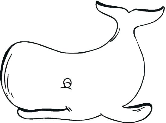 550x407 Blue Whale Coloring Pages Killer Whale Coloring Pages For Kids