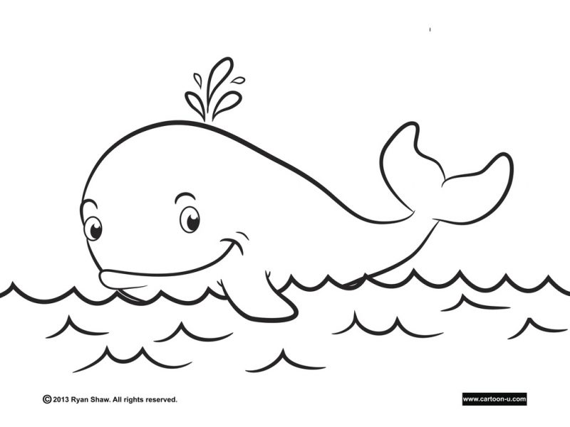 800x600 Charming Ideas Whale Coloring Pages Whale Coloring Pages Magic