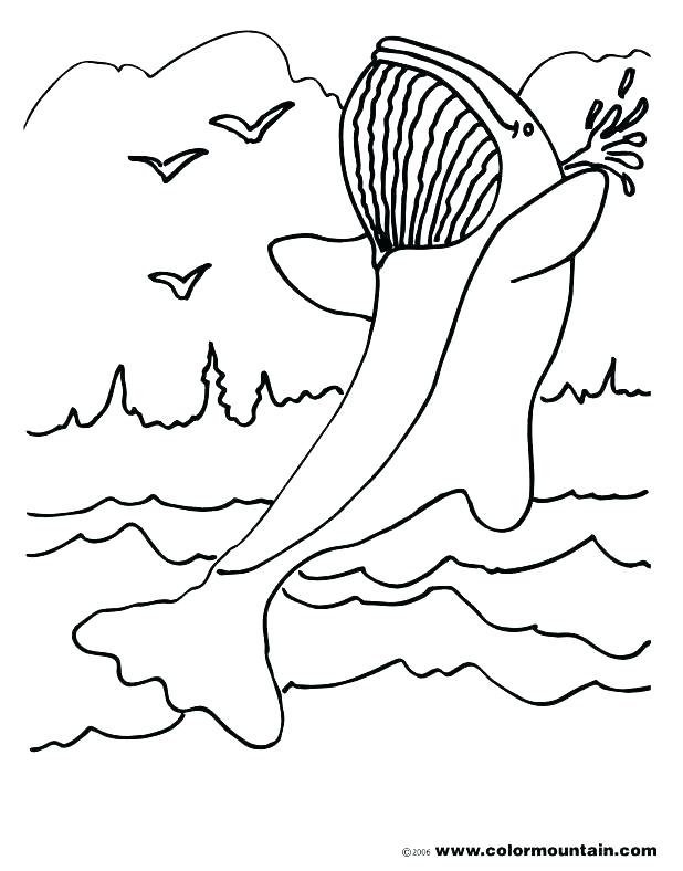 618x788 Whale Coloring Pages Coloring Pages Coloring Page Blue Whale