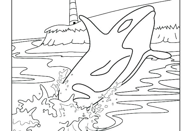 618x425 Big Blue Whale Coloring Page Dolphins And Whales Pages Colouring X