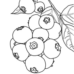 300x300 Find The Best Coloring Pages Resources Here!