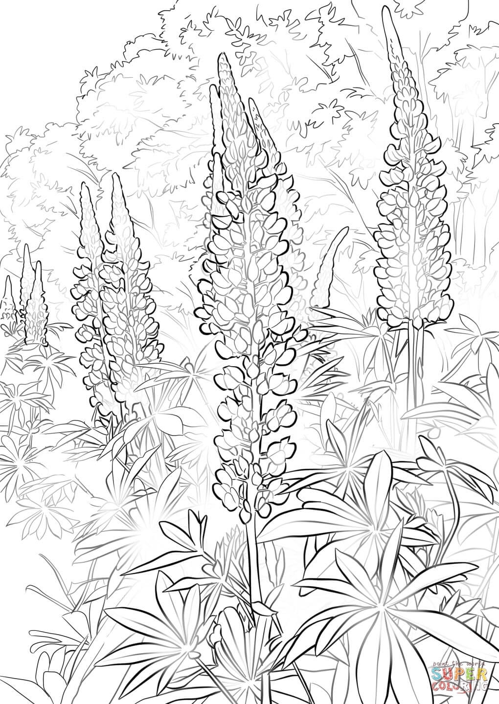 1020x1440 Bluebonnets Coloring Pages To Print Coloring For Kids