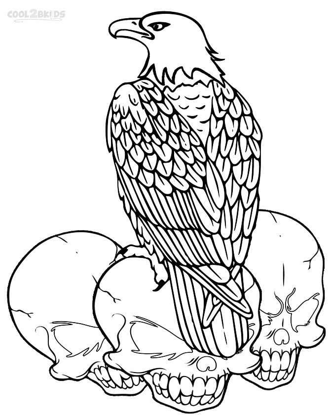 669x850 Printable Bald Eagle Coloring Pages For Kids