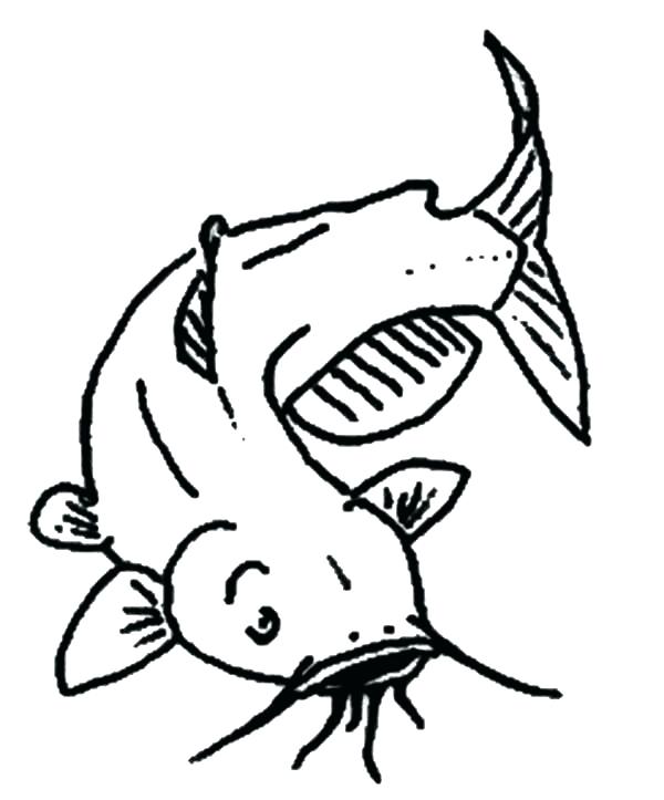 600x723 State Fish Channel Catfish Coloring Page Show Me Sandwich Coloring