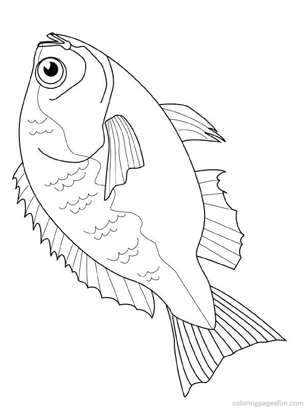600x800 Free Downloadable Jumbo Fish Coloring Pages Fish Coloring Pages