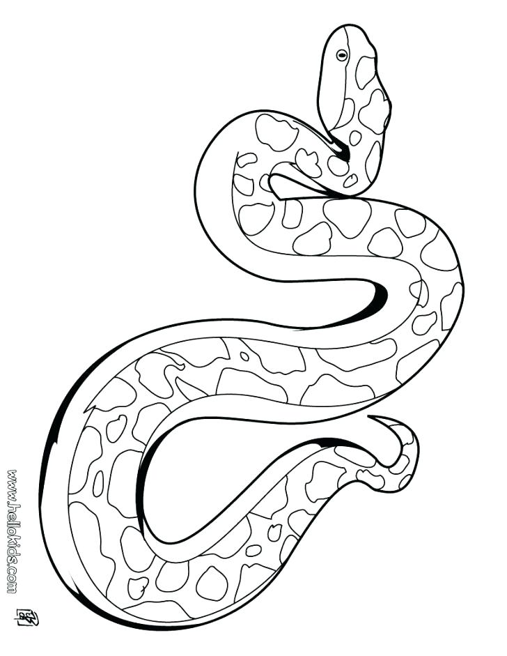 728x941 Boa Constrictor Coloring Page Cute Snake Coloring Pages Adult